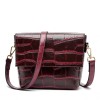 Croco Crossbody Bag Croco Crossbody Bag