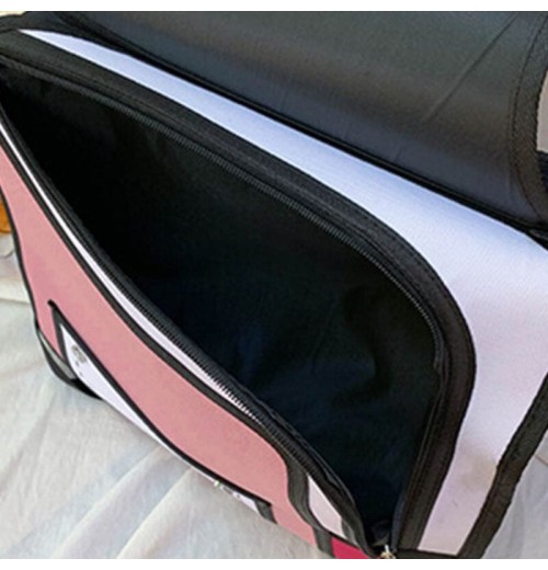 2D Backpack 2D Backpack